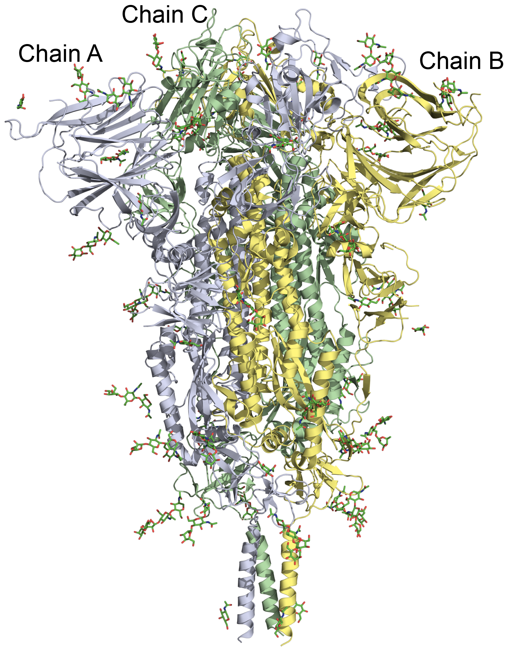 Описание изображения 1